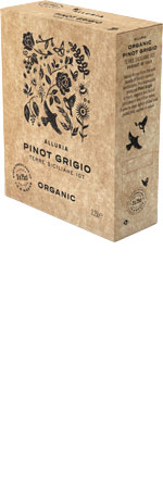 Picture of Alluria Pinot Grigio Organic Boxed Wine 2.25L, Sicily
