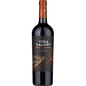 Viña Salort' Gran Reserva Tannat | Wine Club by Majestic