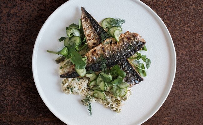 Grilled Mackerel with Smoked Celeriac Remoulade & Quick Pickled Cucumber