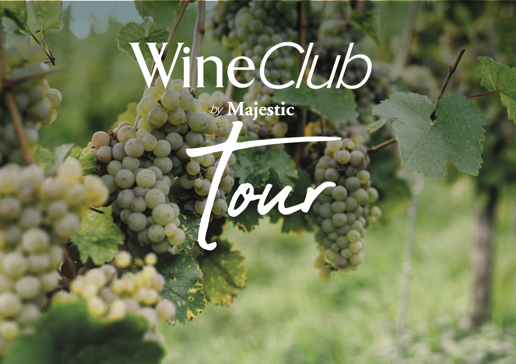 Tour Case - Discover Classic Grapes with Wine Club by Majestic