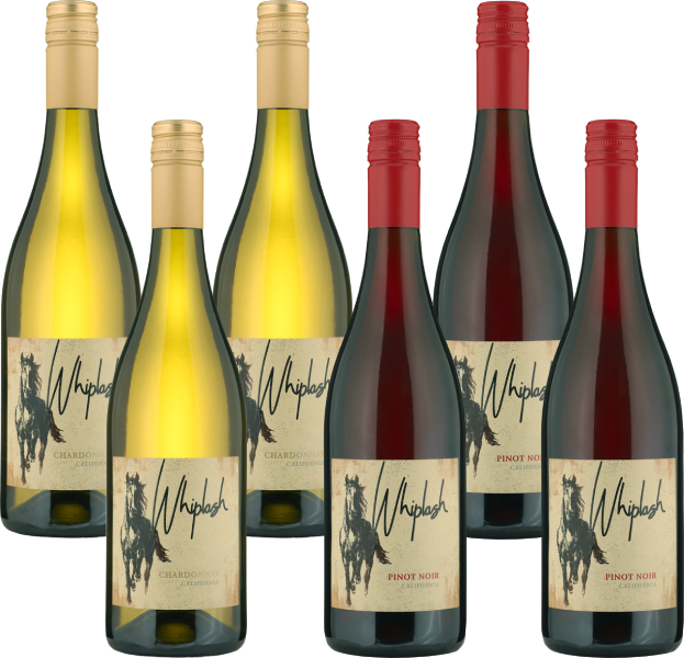 Clearance Sale Whiplash 6 Bottle Mixed Wine Case