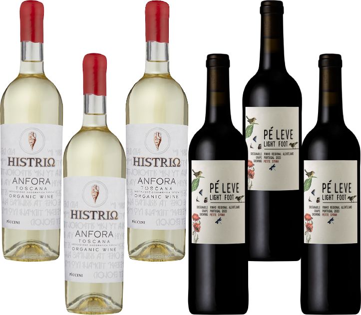 Clearance Sale - 6 Bottle Mixed Wine Case