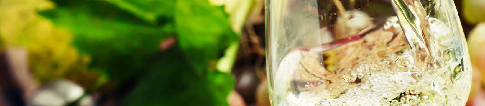 The Rising Stars of Riesling: Why this Grape is a spring must-try