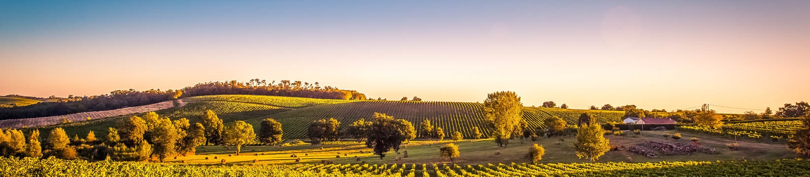 Learn from the experts: Bordeaux's first and second wines