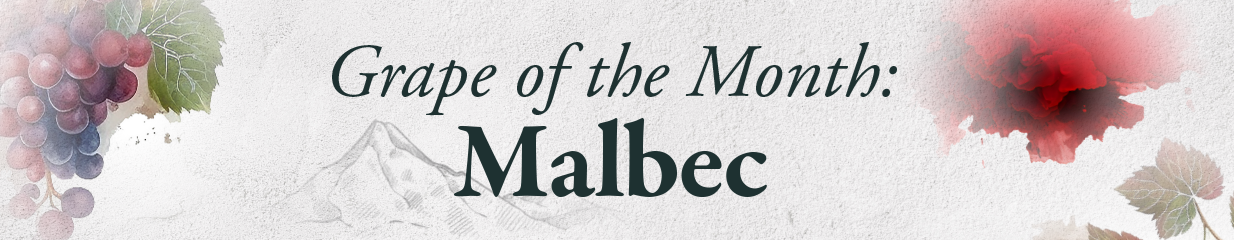 Discover the best of Malbec