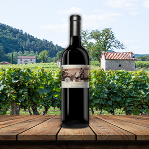 Georges Vigouroux 'Le Grand Retour' Malbec, Cahors