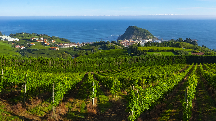 A Majestic Wine Tour of Spain