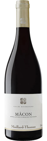 Moillard Thomas Macon Rouge 2023/24