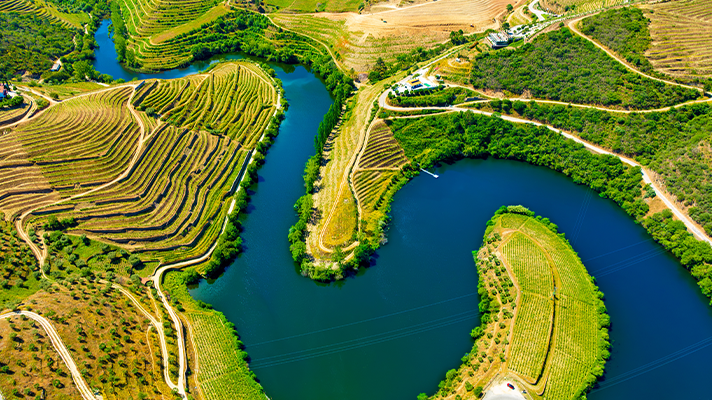 A Majestic Wine Tour of Spain