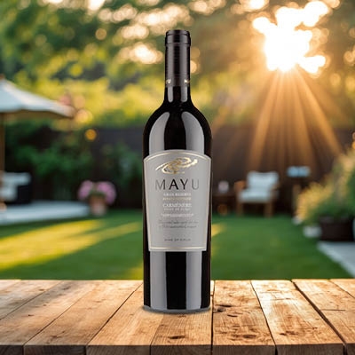 Mayu Carménère Appassimento, Chile