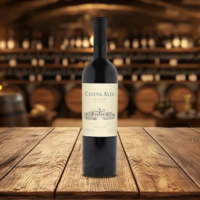 Catena Zapata 'Catena Alta' Malbec, Mendoza