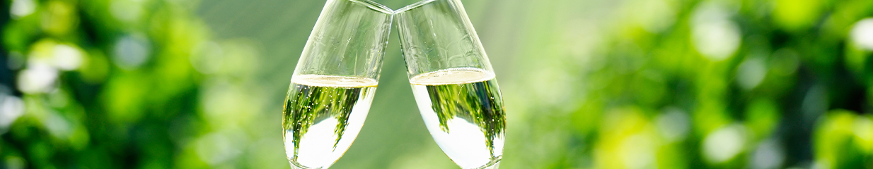 What separates DOC and DOCG Prosecco?