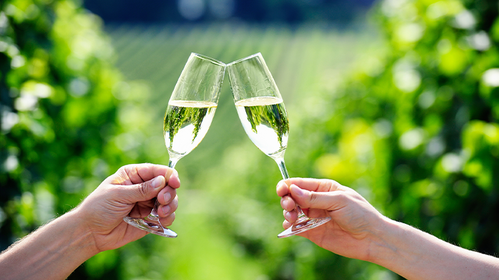 What Separates DOC and DOCG Prosecco?