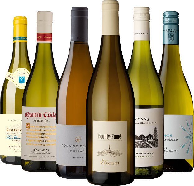 Image of The Elegant Whites 6 Bottle White Wine Case