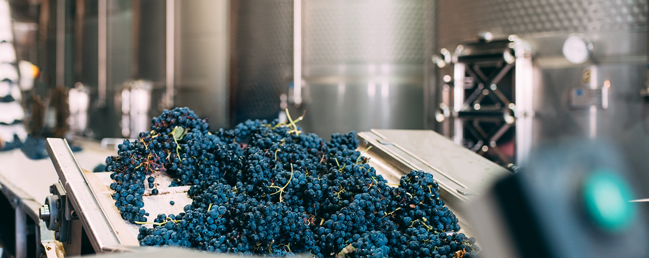 Does Organic Wine Taste Different?