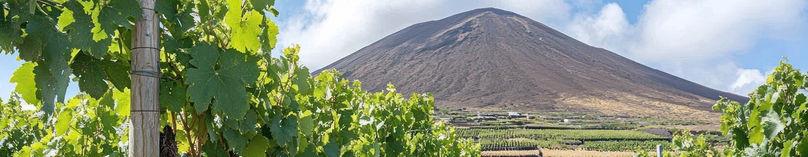 Majestic