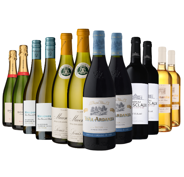 Everything You Want for Christmas 12 Bottle Mixed Wine Case