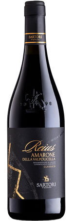 Picture of Sartori Reius Amarone 2020