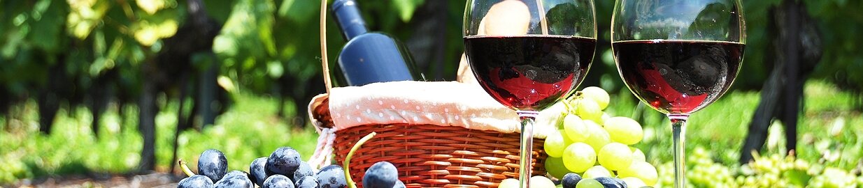 World Drink Wine Day – Wines to Enjoy All Over the World
