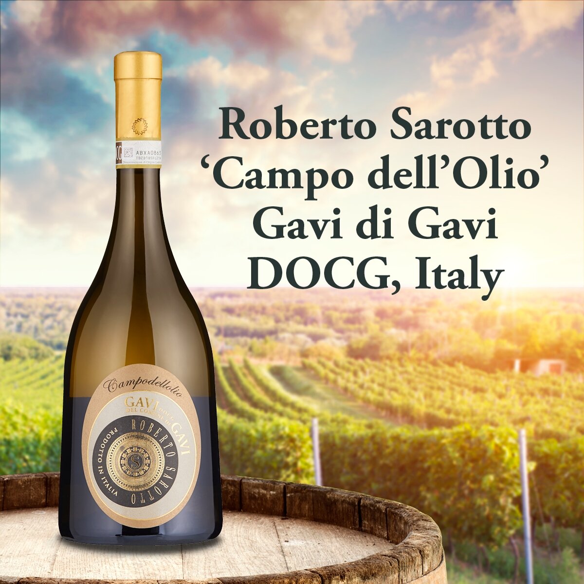 Roberto Sarotto 'Campo dell'Olio' Gavi di Gavi DOCG