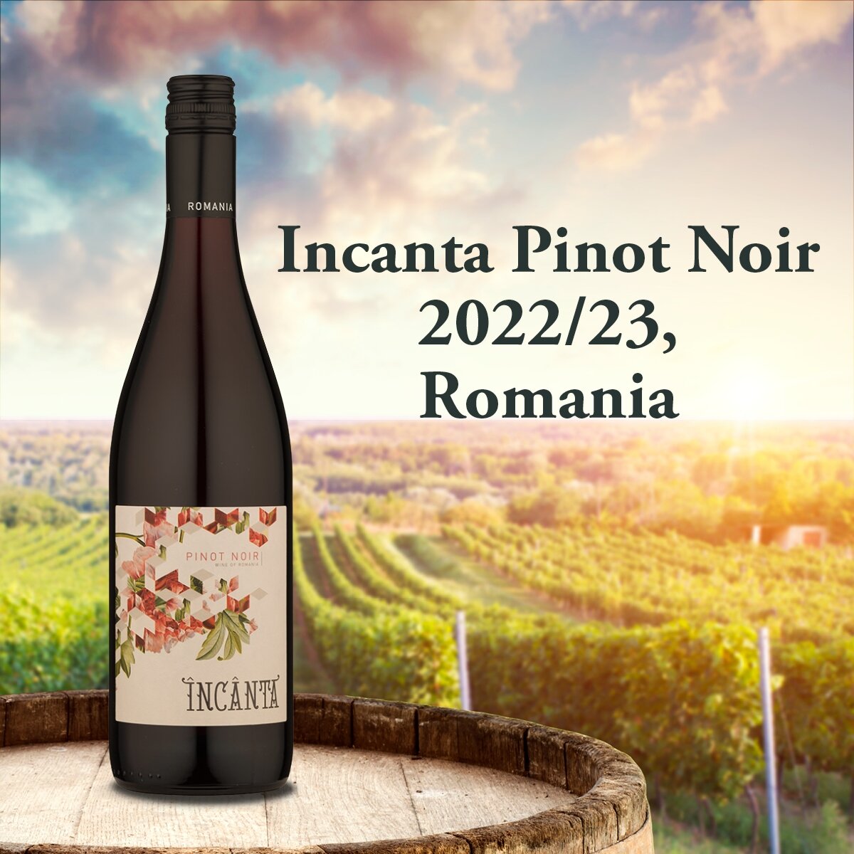 Incanta Pinot Noir, Romania