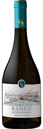 Picture of Viña Casa Silva Lago Ranco Sauvignon Blanc