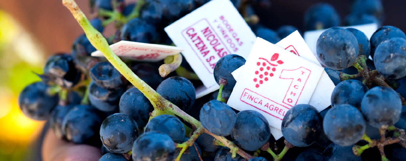 Majestic