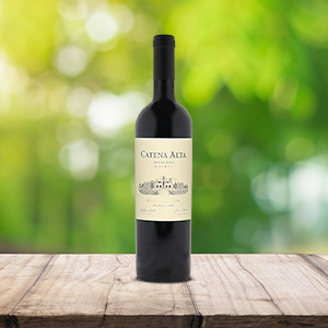 Catena Zapata ‘Catena Alta’ Malbec, Mendoza