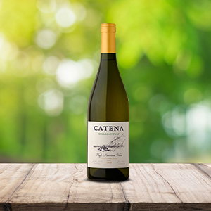 Catena Chardonnay, Mendoza