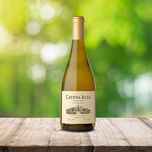 https://www.majestic.co.uk/wines/catena-alta-chardonnay-40024