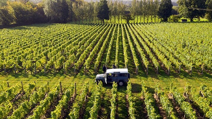 Celebrate English Wine Week