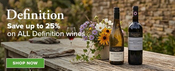 Definition - Save up to 25% on ALL Definition