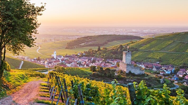 The Grapes and Styles of Alsace Wine