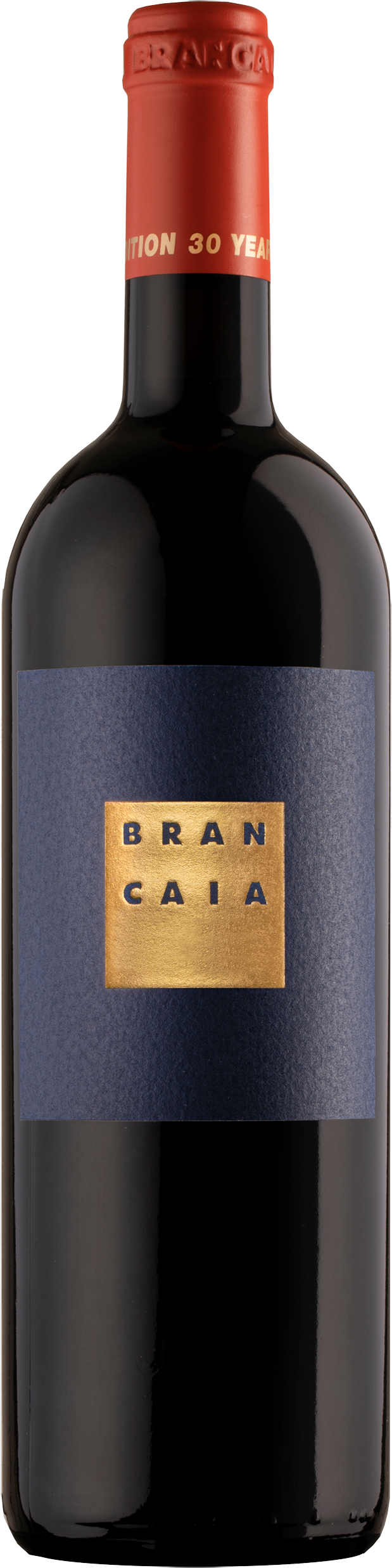 Picture of Il Blu, Casa Brancaia 2020