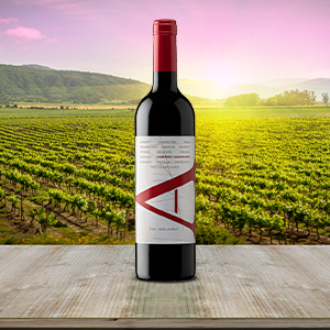 VIK 'A' Cabernet Sauvignon, Cachapoal Valley