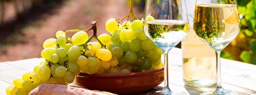 Inside Knowledge: French white wine in depth