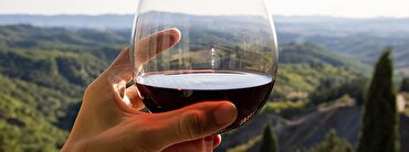 Majestic Guides: the best Barolo wines and wineries to drink at home