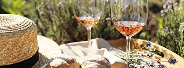 Majestic Guides: the best Provence wines and wineries to drink at home