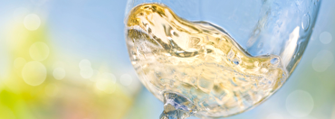 Majestic Guides: Jane MacQuitty’s Top 100 Wines for Summer 2023
