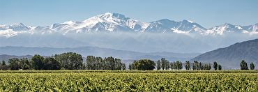 Wine Club The Americas: where do the best wines come from? (plus 6 must-try bottles)