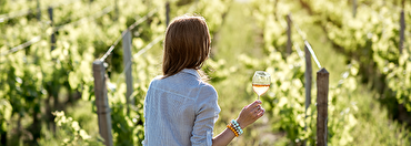 Inside Knowledge: Women in Wine