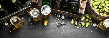 Inside Knowledge: What is the difference between Lager and Ale?