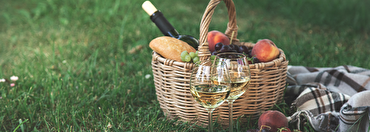 Picnic-perfect wines for every occasion 