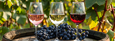 Get Behind Grenache: Exploring One of the World’s Most Versatile Grapes