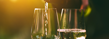 Discover the different types and styles of white wine 