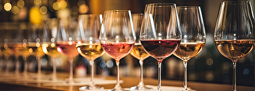 The Impact of Recent Budget Changes on Wine Prices: What You Need to Know