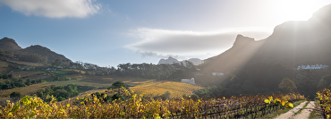 The Iconic Dessert Wine: Vin de Constance