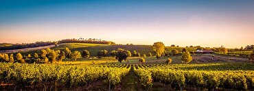Learn from the Experts: Bordeaux First and Second Wines