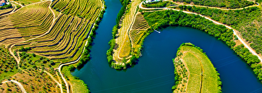 A Majestic Wine Tour of Spain