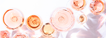 Rosé Tasting Room Takeover
